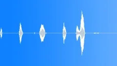 Baby,6 Month Old,Grunts,Happy TalkSound Effect