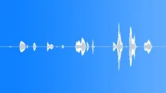 Baby,6 Month Old,Talk,Happy 4Sound Effect