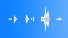 Baby,6 Month Old,Talk,Smiley LaughSound Effect