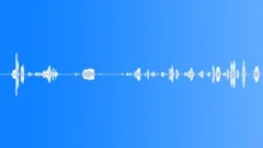 Baby,laughing,baby,joyful 2 Sound Effect
