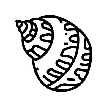 Babylon sea shell beach line icon vector illustration Stock Illustration