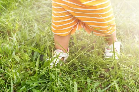 Baby's feet on the grass in the backyard Stock Photos