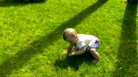 Baby's first steps on a green lawn. Baby trying to go crawling on the grass Stock Footage 248448474