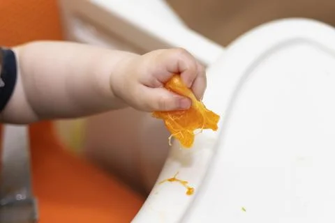 Baby's hand squeezing a mandarin wedge, juice dripping out during first sol.. Stock Photos