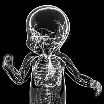 Baby's nervous system, artwork Stock Illustration