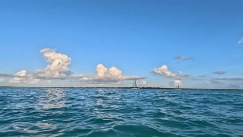Bacalar Lagoon panoramic view Video stock 229736229