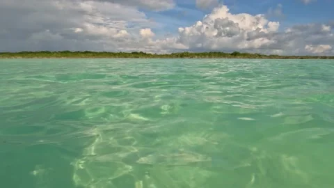 Bacalar Lagoon panoramic view Video stock 229737536