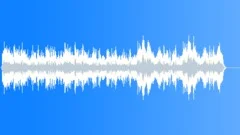 Bach - Badinerie from Orchestral Suite no.2 in B minor (excerpt) Stock Music