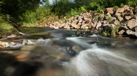 Bach-lapse Video stock 24875909