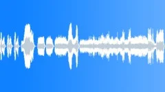 Bach - Toccata in D min BWV 565 - Organ Stock Music