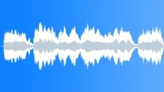 BACH TOCCATA IN D MINOR (15sec) Stock Music