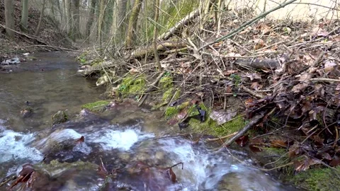 Bach3 Stock Footage 132142435