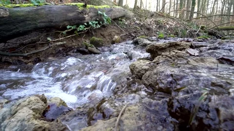 Bach4 Stock Footage 132142309