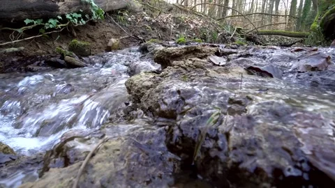 Bach5 Stock Footage 132142613