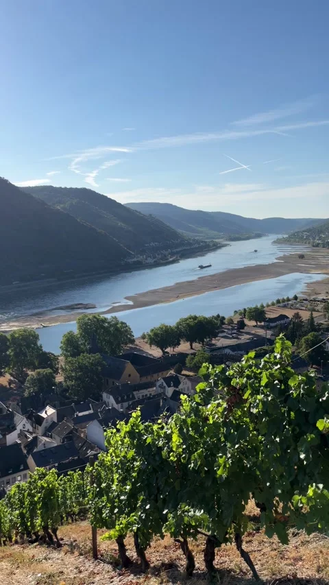 Bacharach, Germany, August 11, 2026 selective focus on vineyards and histor.. Stock Footage 345202998