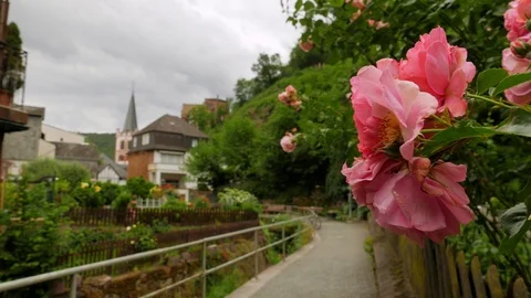 Bacharach, Germany Stock Footage 111073775