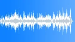 Bachiana (classical piano solo) Stock Music