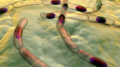 Bacillus anthracis on surface 4anim Stock Footage 141255716