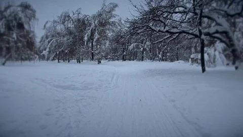 Back along the ski track in the forest Stock Footage 101577530