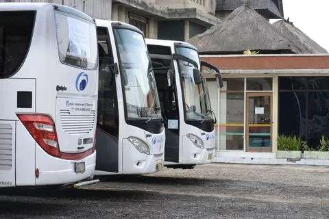 The back and front of 3 buses parked in front of the office Stock Photos