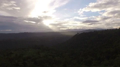 Back Away from Sunset and By Tree Stock Footage