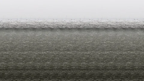 Back to the back Stock Footage 122406516