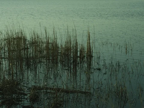 Back Bay in Virginia Beach Stock Footage 83606401