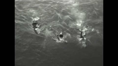 Back to the Boat 1938 Stock Footage 176537649