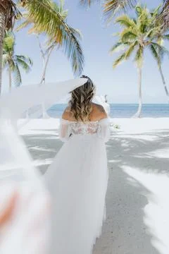 Back bride Stock Photos