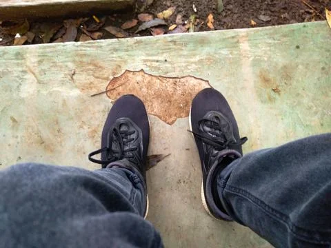 Back To Campus Stock Photos