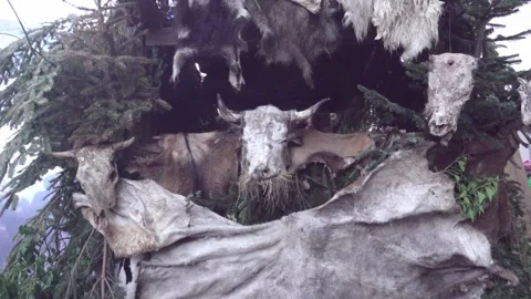 Back of the carnival float of the primordial animals at the Egetmann Parade Stock Footage 305211103
