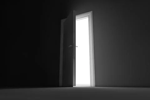 Back door Stock Illustration