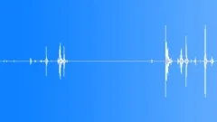 Back door opened and slammed shutSound Effect