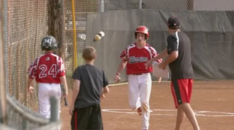 Back to the Dugout Baseball Stock Footage 62622295