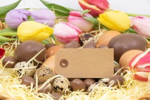 Back to the Easter egg hunt and arrival of spring Stock Photos