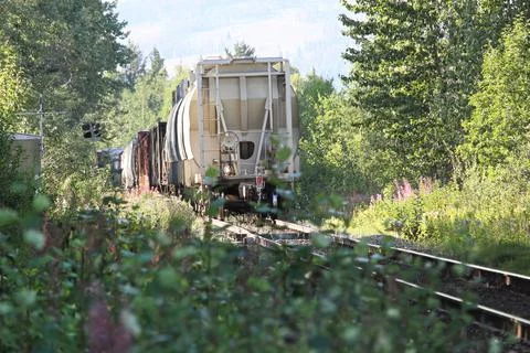 The back end of a train as it goes through a wooded area Stock Photos