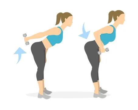 Back exercise for women. Illustrazione stock