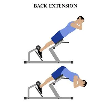 Back extension exercise strength workout vector illustration Illustrazione stock