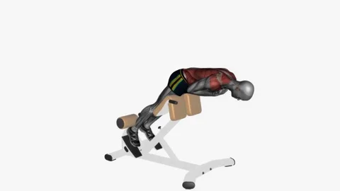 Back extension machine  fitness exercise workout animation male muscle highlight Видео 243983012