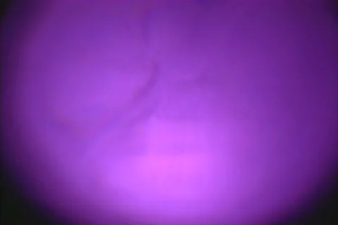 Back of the Eye Stock Footage 197822