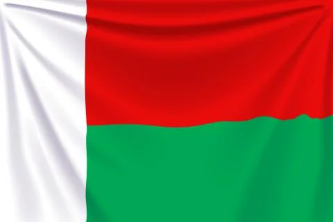 Back flag madagascar Stock Illustration