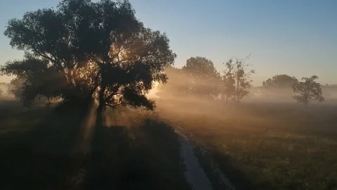 Back Flight from the fabulous sun. Stock Footage 114356138