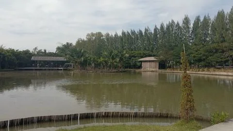 Back garden view Stock Photos