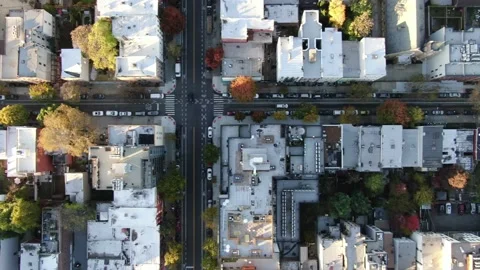 Back gardens and flat roofs under golden late day light in north Brooklyn Stock Footage 164978172