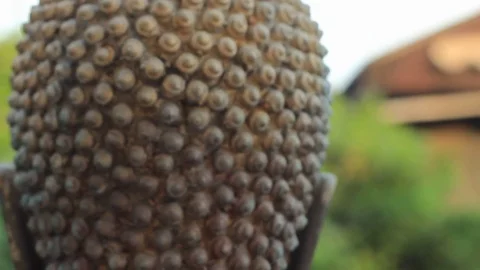 The back of the head of a Thai Buddha statue in temple grounds in a Wat Stock Footage 101635390