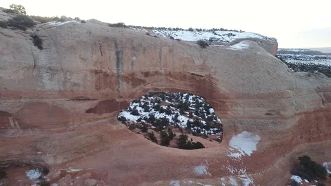 Back it up Video stock 88448531