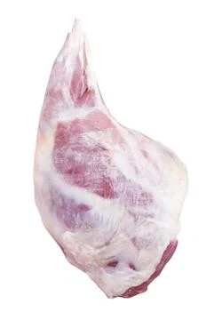Back leg sheep Stock Photos