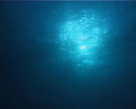 Back-light bubbles (D164) 動画素材 150486