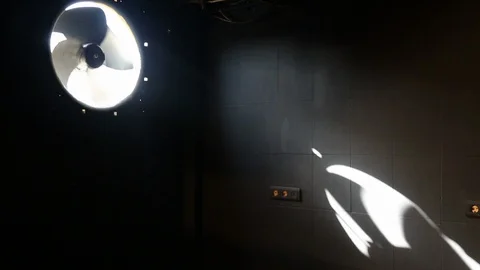 Back light fan Stock Footage 96189072