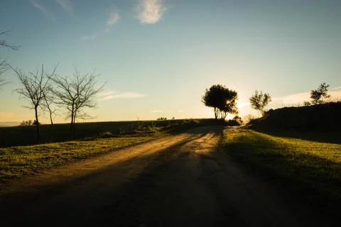 Back light of a lonely tree in a road with sunset light in Volcano Crossa nea Stock Photos